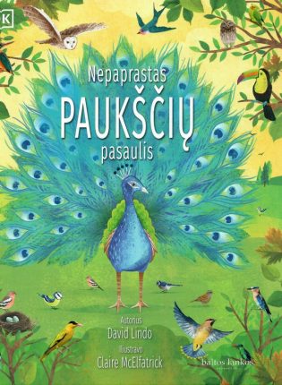 David Lindo, Claire McElfatrick „Nepaprastas paukščių pasaulis“