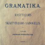 Lietuviškos kalbos gramatika. 1901 m.