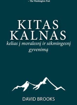 Kitas kalnas