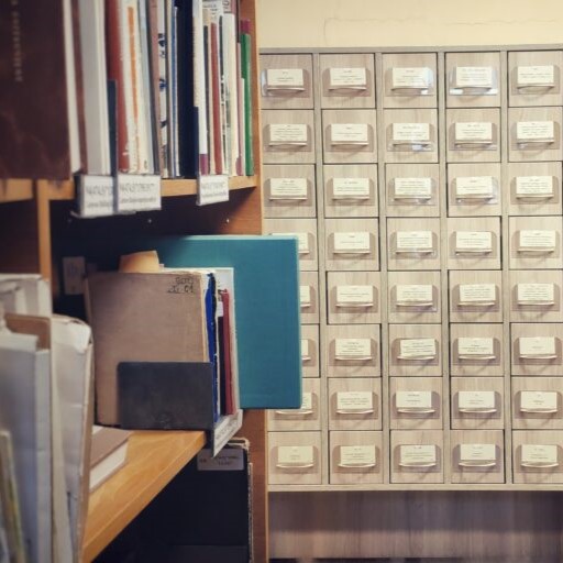 Kaunistika
