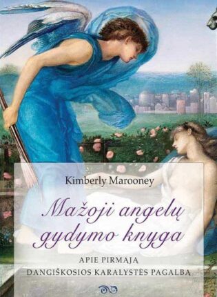 Kimberly Marooney „Mažoji angelų gydymo knyga. Apie pirmąją dangiškosios karalystės pagalbą“