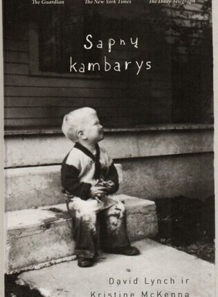 David Lynch, Kristine McKenna „Sapnų kambarys“