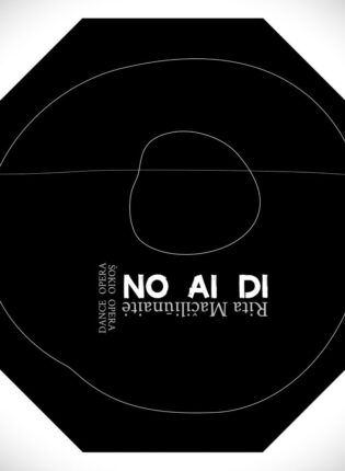 Rita Mačiliūnaitė „NO AI DI“