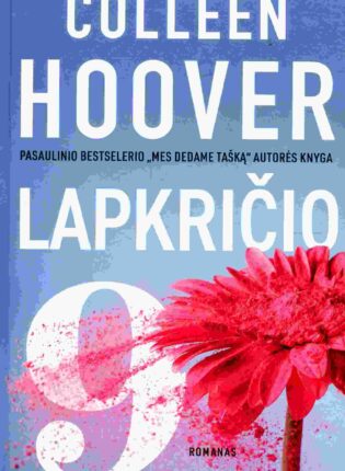 Colleen Hoover „Lapkričio 9“
