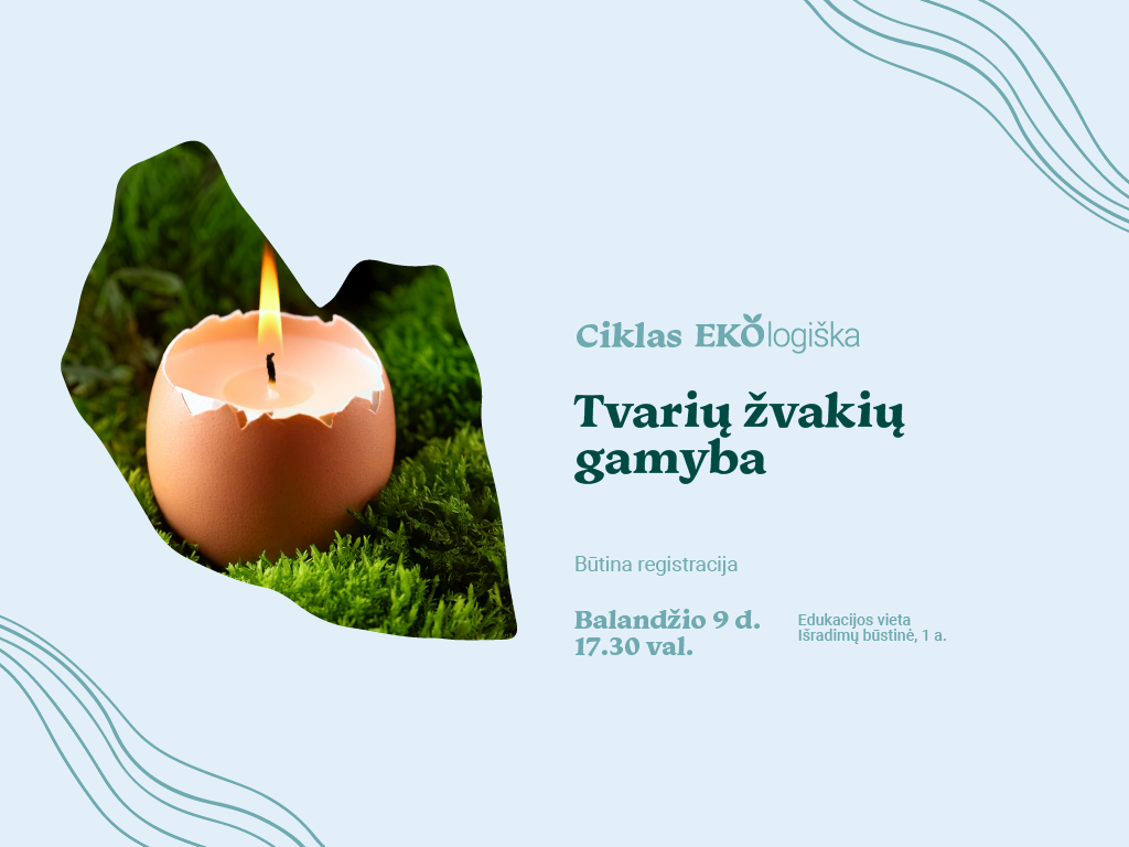 Ar žinojote, kad tušti kiaušinių lukštai gali tapti unikaliomis žvakidėmis? Šių dirbtuvių metu susipažinsite su tvarių žvakių gamybos principais, iš natūralaus bičių vaško kursite išskirtines žvakes kiaušinių lukštuose. Tai ne tik kūrybiškas, bet ir draugiškas aplinkai būdas suteikti antrinėms žaliavoms naują gyvenimą! Visos reikalingos priemonės ir įrankiai jau bus paruošti – tereikia atsinešti gerą nuotaiką ir norą kurti! Laukiame jūsų balandžio 9 d. 17.30 val. Išradimų būstinėje (Radastų g. 2, 1 a.)! 🌿🕯️😊 Dalyvių skaičius ribotas, todėl būtina registracija. Laukiame jūsų! Renginio metu bus fotografuojama ir / ar filmuojama, todėl informuojame, kad jūs galite būti matomi renginio nuotraukose ar vaizdo įrašuose, kurie gali būti paskelbti įvairiose medijos priemonėse.