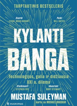 Mustafa Suleyman, Michael Bhaskar „Kylanti banga”