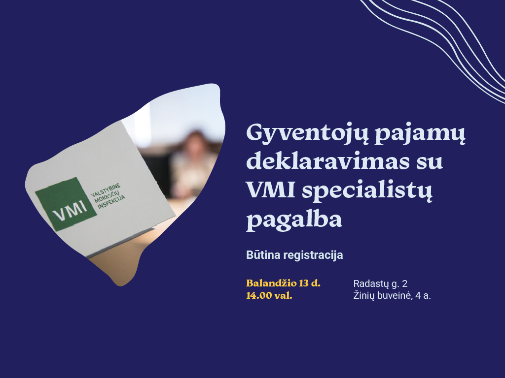 VMI konsultacija