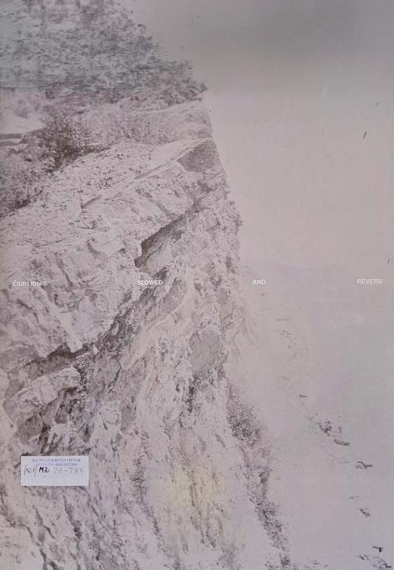 Dominykas Digimas „Čiurlionis. Slowed and reverb“ (LP)